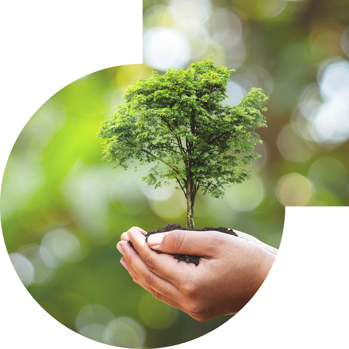 关怀人类、文化、环境与社会